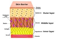 Skin Flooding – Rahsia Lembapan Kulit Maksimum