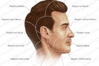 Cara Meningkatkan Metabolisme untuk Kulit Lebih Cerah