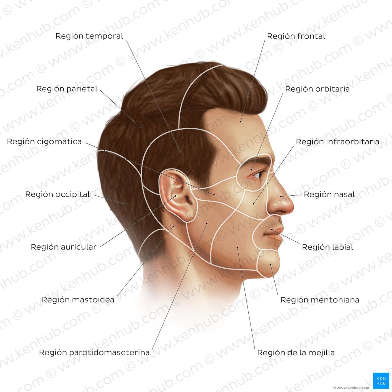 Cara Meningkatkan Metabolisme untuk Kulit Lebih Cerah